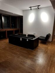 1 Moulmein Rise (D11), Apartment #502162551